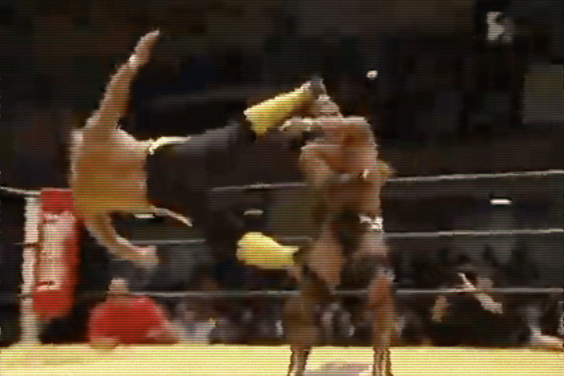 Toshiaki Kawada v  Masato Tanaka – 24 October&nbsp;2009